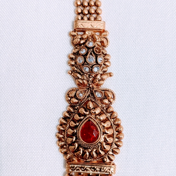 Gold Raani Haar Jewelry Set - Picture 4 of 4